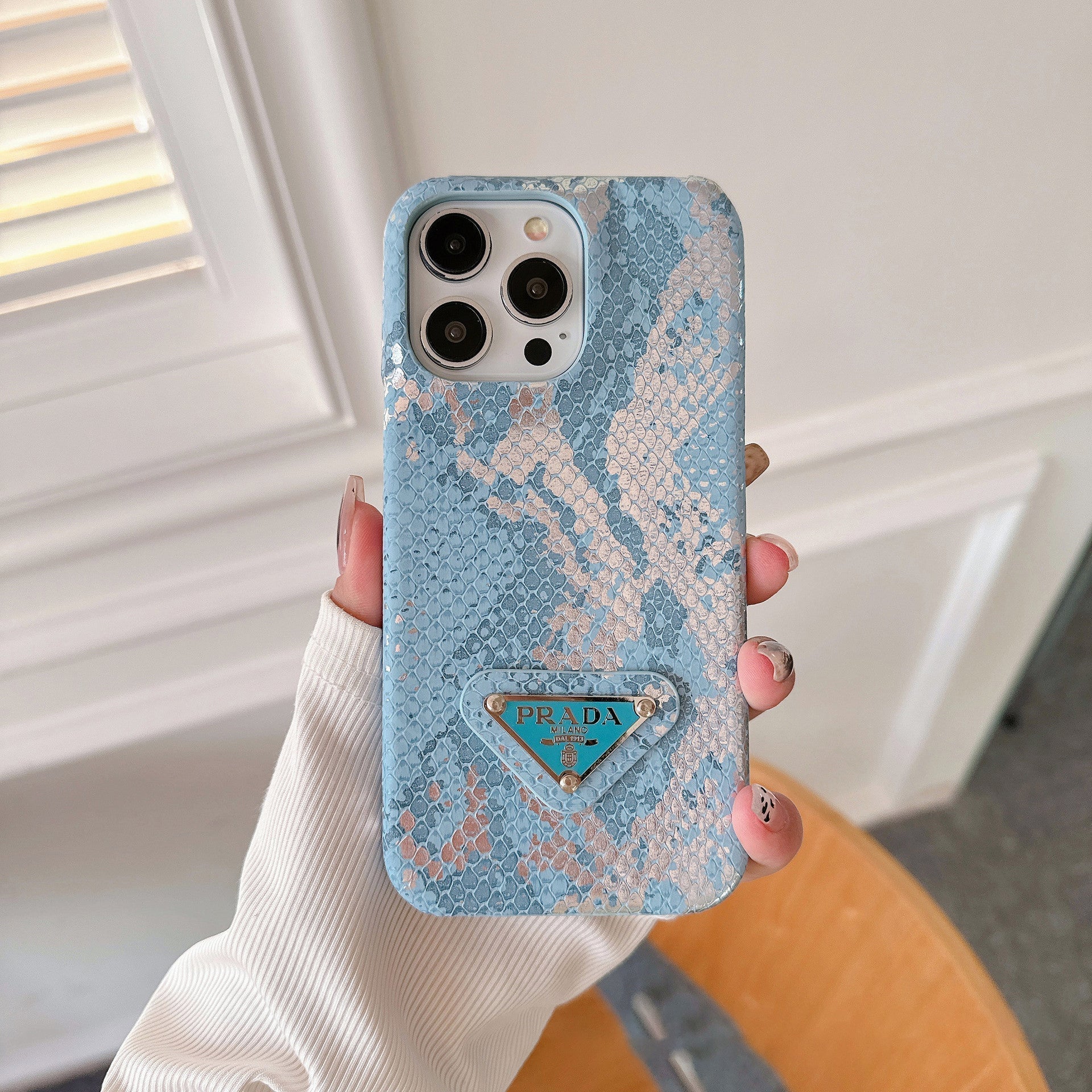 Pra Gradient Color iPhone etui